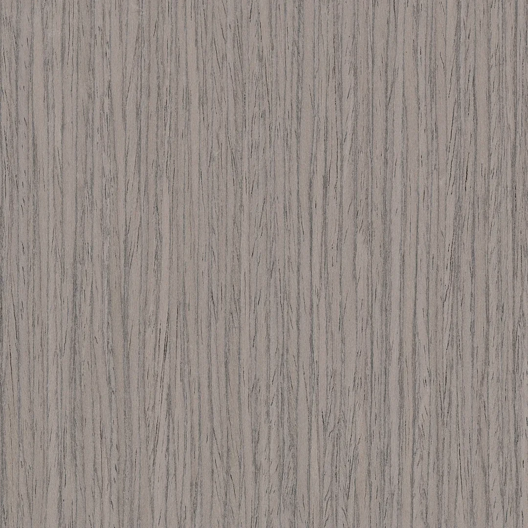 Palm · W06 Ayous gris